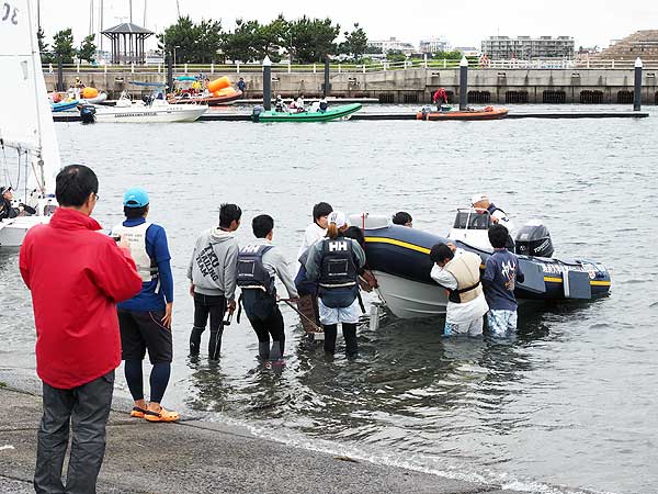 水に降ろされた葵